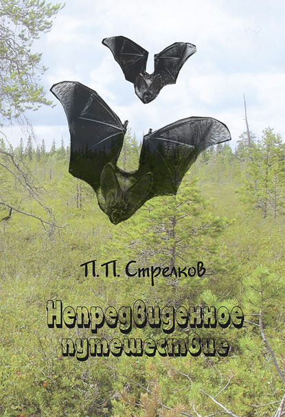 Книга Петр Петрович Стрелков Непредвиденное путешествие
